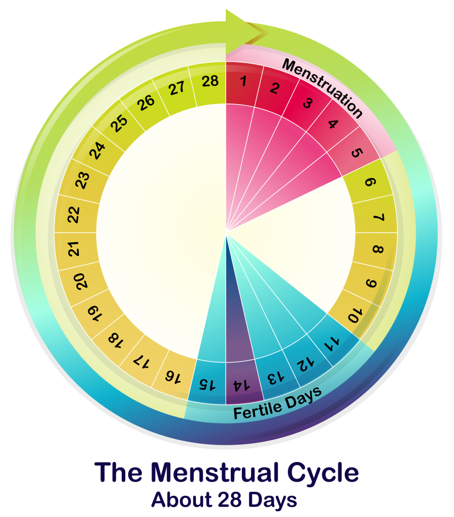 A Girls' Guide to Optimizing Performance with the Flow of Her Menstrual ...